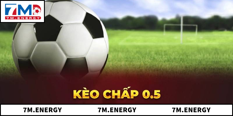5 Yếu Tố Quan Trọng Cần Phải Biết Khi Soi Kèo 0.5 1 Kèo 0.5
