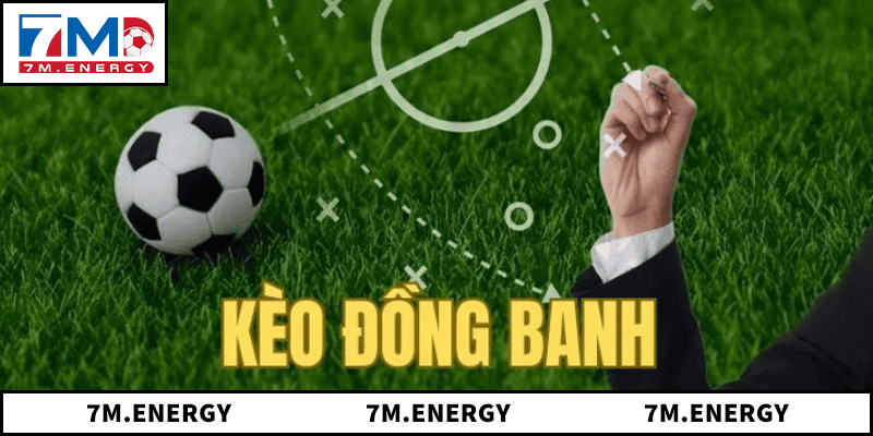Bí Quyết Được Chia Sẻ Từ Cao Thủ Khi Tiến Hành Soi Kèo 0 1 Kèo 0