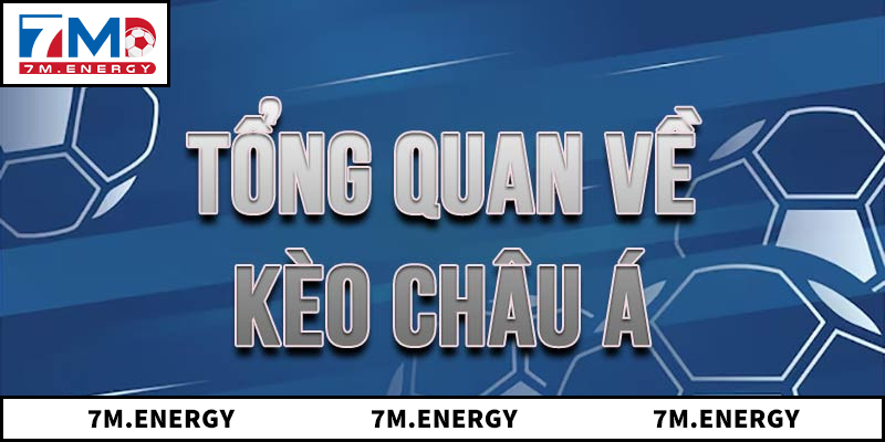 Hướng Dẫn Người Chơi Làm Chủ Kèo Châu Á Trong 5 Phút 1 kèo châu Á